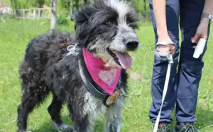 Bezaubernde Giselle sucht ihre Familie