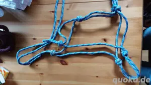 Knotenhalfter Größe WB blau weiß