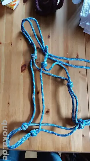 Knotenhalfter Größe WB blau weiß