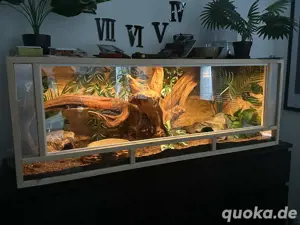 Vollausgestattetes Terrarium aus Fichtenholz *LESEN*