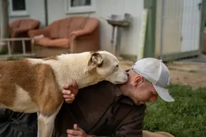 Miller, z.Zt. in Ungarn, ist unkompliziert, freundlich, verspielt und verträglich mit Hunden Bild 8