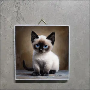 Siamkatzen Bild, Siamkatzen Foto, Siam Kitten Bild, Siam Kitten Foto, Siam Kitten Deko