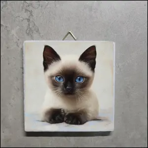 Siam Katzen Bild, Siam Katzen Foto, Siam Katzen Deko