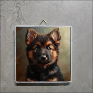 Schäferhund Bild, Schäferhund Foto, Schäferhund Deko