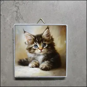 Langhaar Kitten Bild, Langhaar Kitten Foto, Getigerte Langhaar Kitten Portrait, Getigerte Katze Bild