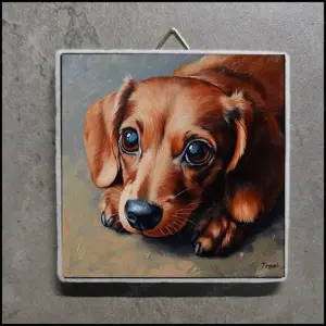 Dackelbild, Dackelfoto, Dackel Deko, Dackel Dekoration, Dackel Portrait
