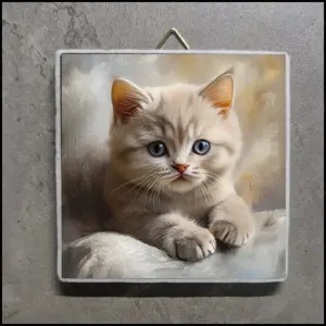 BKH Kitten Bild, BKH Kitten Foto, BKH Kitten Portrait, British Kurzhaar Kitten Bild 