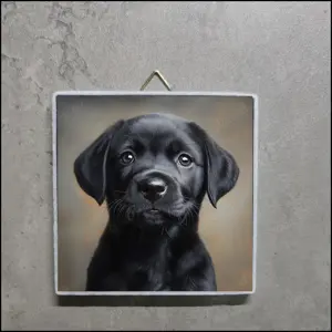 Bild Labrador Welpe, Foto Labrador Welpe, Labrador Welpen Deko, Labrador Welpe Portrait