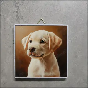 Bild Labrador Welpe, Foto Labrador Welpe, Labrador Welpen Deko, Labrador Welpe Portrait