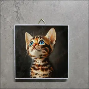 Bild Bengal Kitten, Foto Bengal Kitten, Bild Bengal Katze, Bengal Katzen Portrait