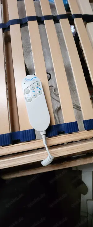 2 Elektronische Latenroste