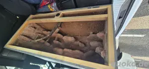 Osb Terrarium 100x50x50