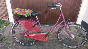 Holland - Rad 28Zoll Rheinfels