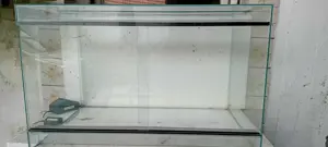 Glasterrarium , 80x50x50 cm zu verkaufen .