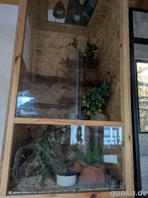 OSB Terrarium 60x60x120