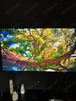 Samsung 75  Fernseher 4K UHD Smart TV GU75TU8079  