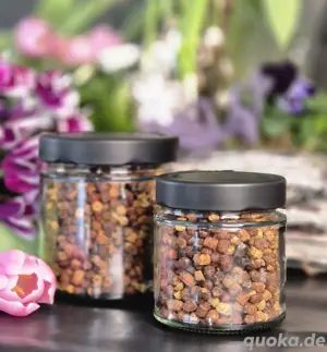 Perga (Bienenbrot) Blütenpollen 