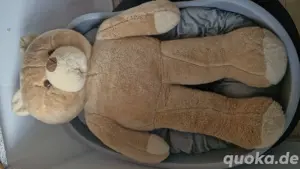 Kinder Bücher und mehr