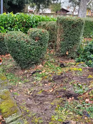 Haushaltshilfe Garten