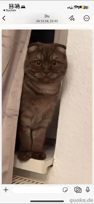 SKH Mädchen
