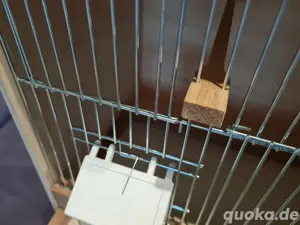 Zuchtbox Kaisernest 