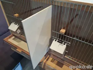 Zuchtbox Kaisernest  Bild 4