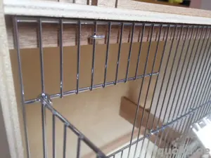 Zuchtbox Kaisernest  Bild 3