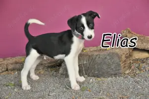 Zeigen Sie Elias weitere spannende Abenteuer?