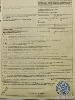 Maurische Landschilkröten  2024  Bild 4