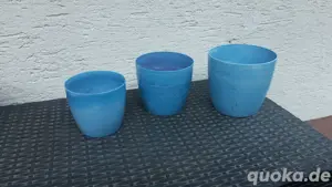 Blumentöpfe 
