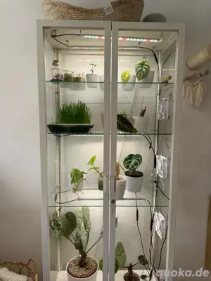 Ikea Milsbo Pflanzen Vitrine