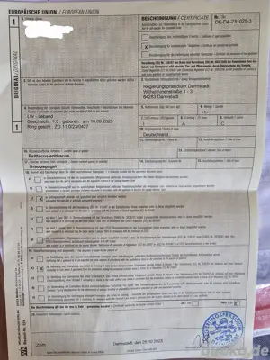Kongo Graupapagei Zahm