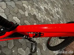 Cube Mountenbike neuwertig