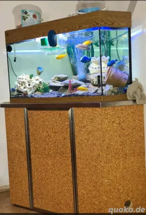 Aquarium zu Verschenken