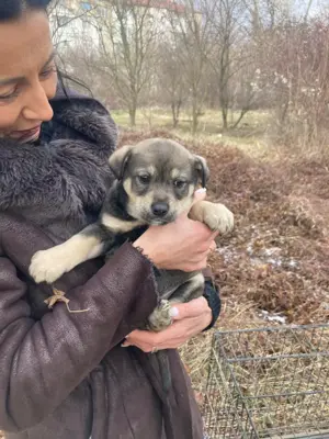 Barney - startbereit für das gute Leben Bild 2