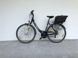 Schönes 28 Zoll Damenrad PEGASUS