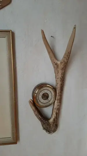 Geweihe und Jagdsammlungen  