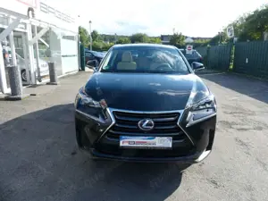 Lexus NX 300 h 300h E-Four Automatik Pano Bild 3