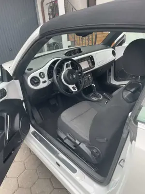 Volkswagen Beetle Cup