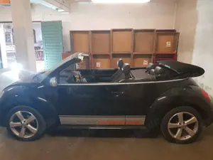 Volkswagen Beetle Black Orange