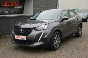Peugeot 2008 Active *NAVI*PDC*SPUR*
