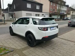 Land Rover Discovery Sport Pure*1.HAND*KLIMA*4X4* Bild 3