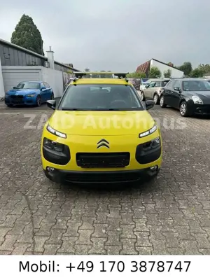 Citroen C4 Cactus Bild 2