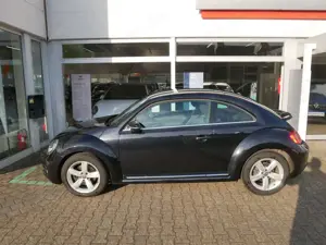 Volkswagen Beetle Sport Bild 2