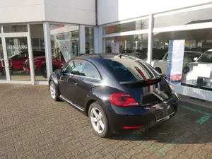 Volkswagen Beetle Sport Bild 3