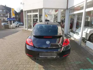 Volkswagen Beetle Sport Bild 4