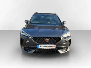 CUPRA Formentor 2.0 TDI DSG 4 Drive VIRTUAL*NAVI*LED*ACC*PARKLE... Bild 2