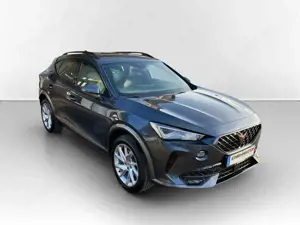 CUPRA Formentor 2.0 TDI DSG 4 Drive VIRTUAL*NAVI*LED*ACC*PARKLE... Bild 3