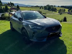 CUPRA Formentor Formentor VZ 2.0 TSI DSG Bild 5