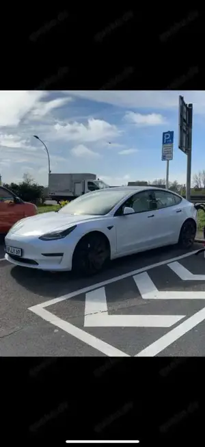 Tesla Model 3 Langstreckenbatt. Allradantrieb Dual Motor Perform